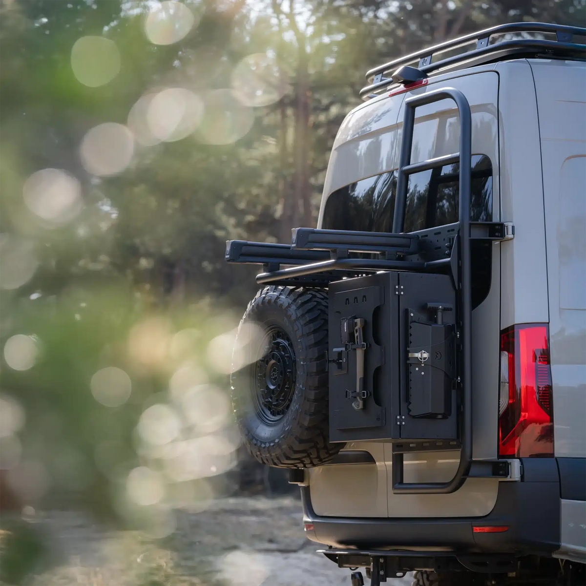 Cargo Ladder H2 Sprinter - installed context 2