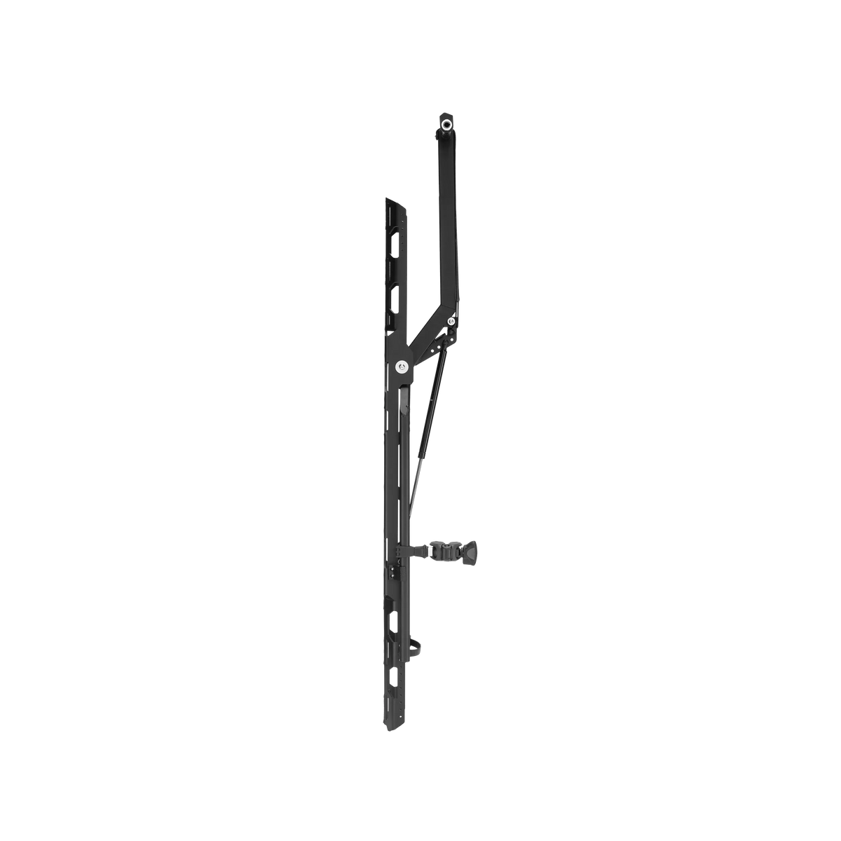 Vertical Bike Carrier - angle 4